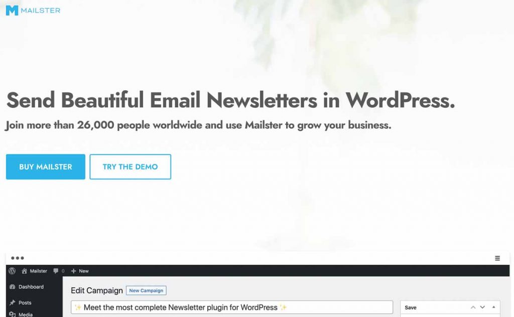 Mailster - Das Newsletter Plugin